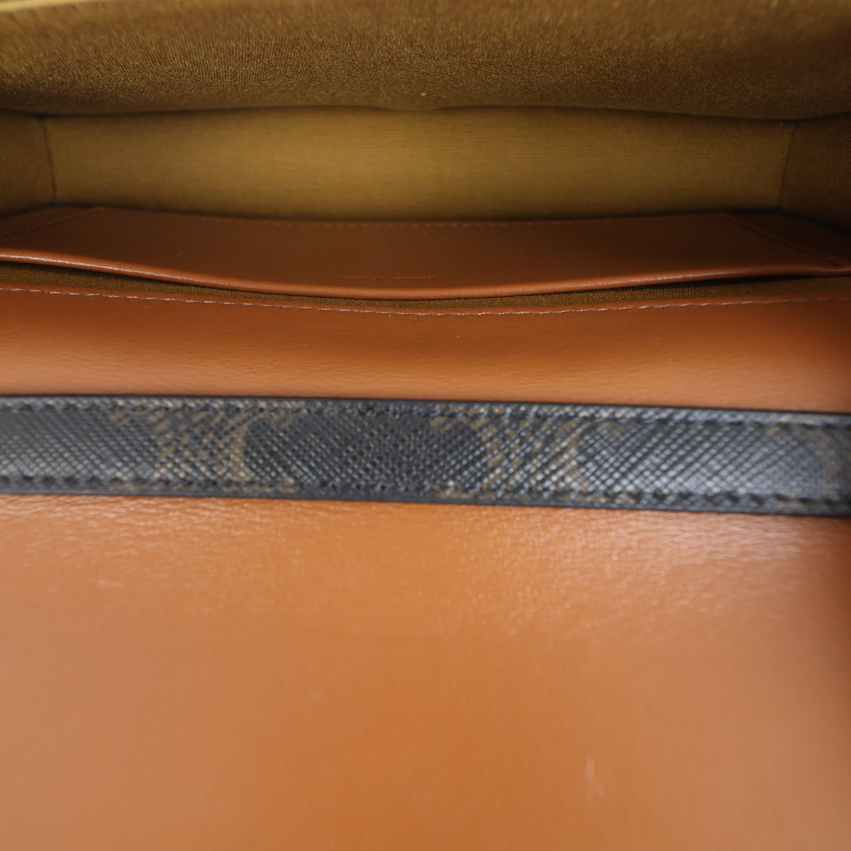 Celine Triomphe Canvas Multipochette_IMG_7443.jpg