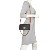 Celine Triomphe Canvas Multipochette_IMG_7531.jpeg