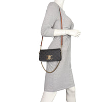 Celine Triomphe Canvas Multipochette_IMG_7531.jpeg