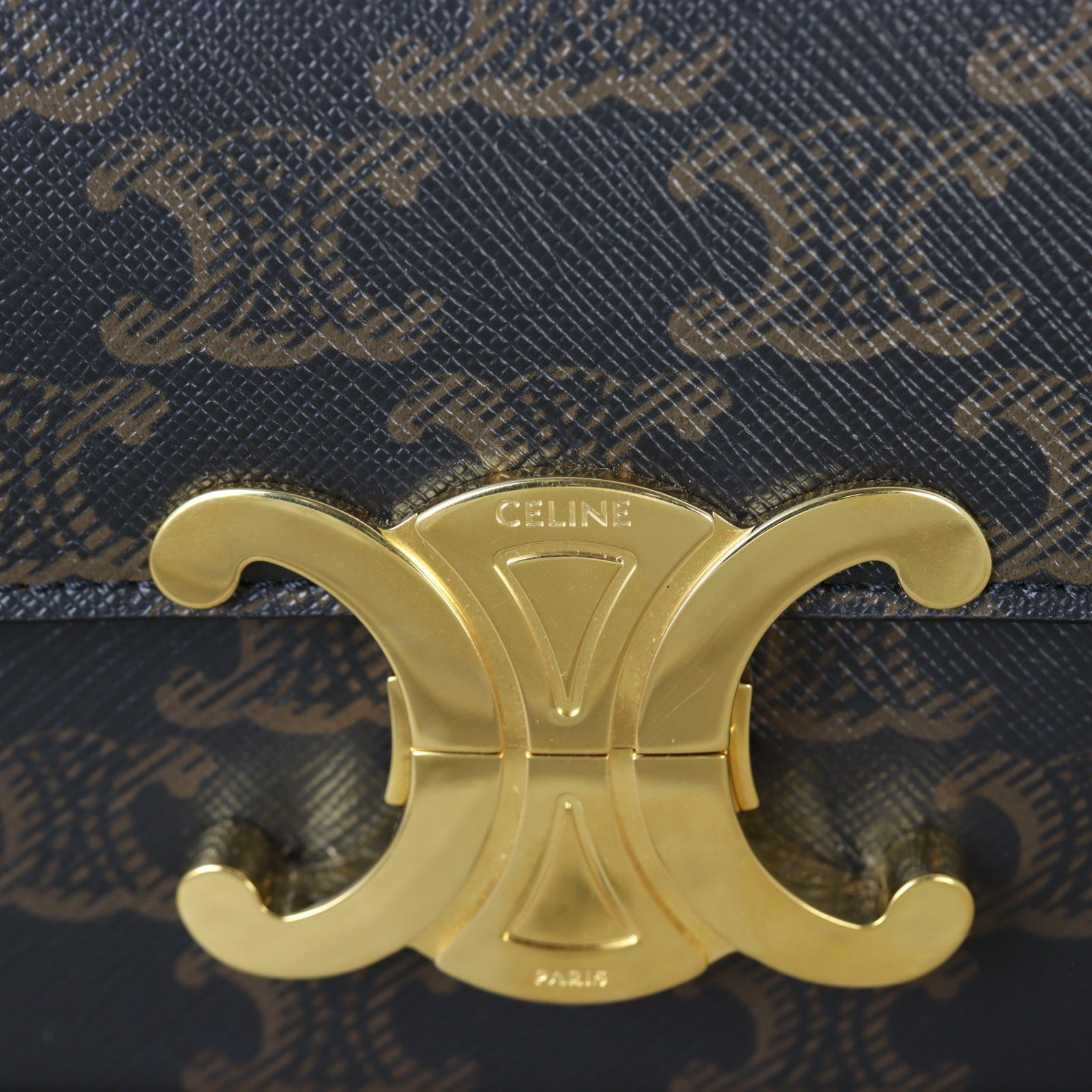 Celine Triomphe Canvas Shoulder Bag_IMG_7961.jpg