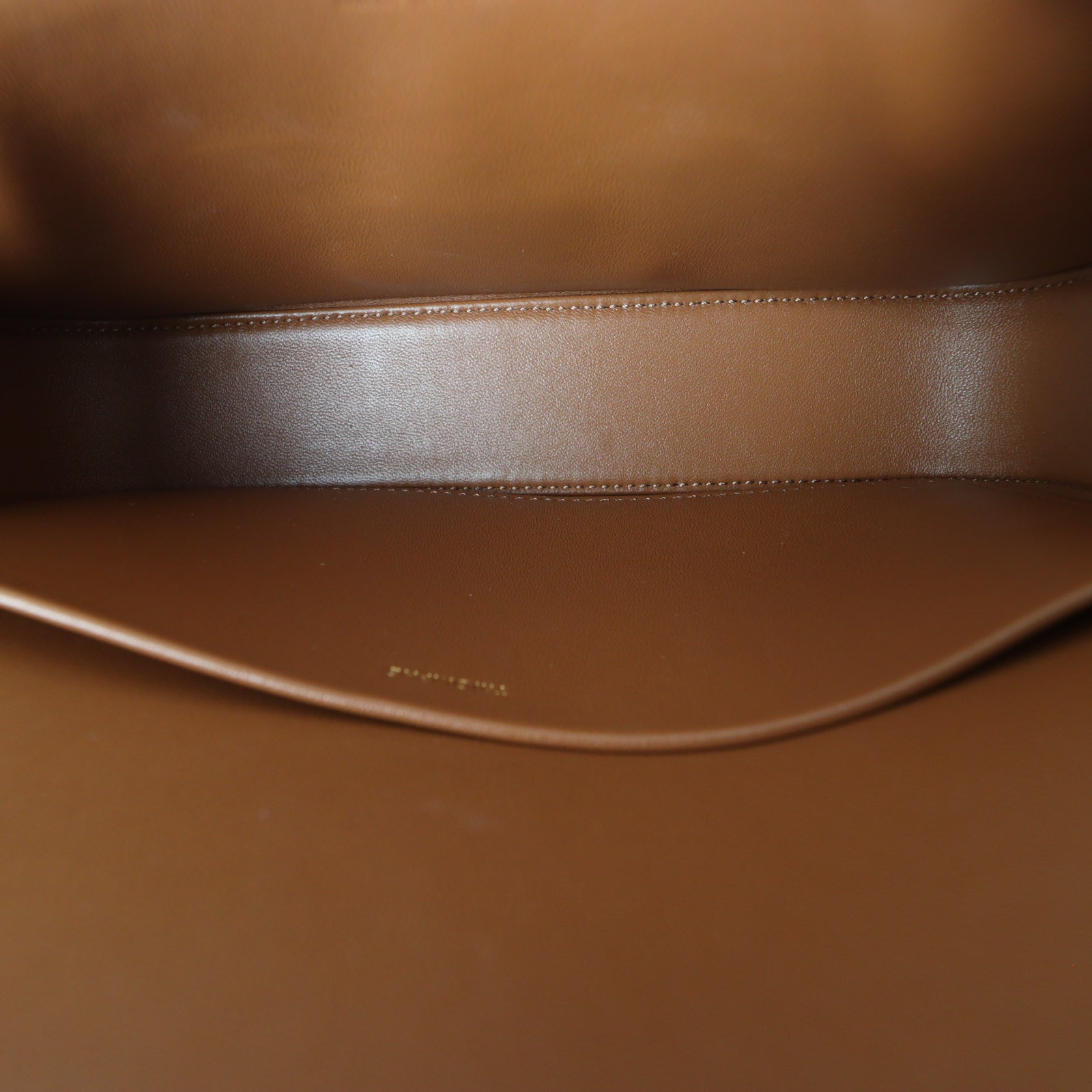 Celine Triomphe Canvas Shoulder Bag_IMG_7967.jpg