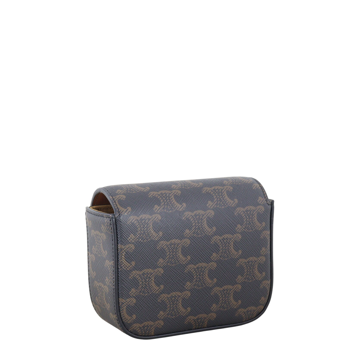 Celine Triomphe Claude Mini Bag_IMG_1489.jpeg