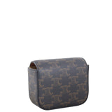Celine Triomphe Claude Mini Bag_IMG_1489.jpeg