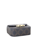 Celine Triomphe Claude Mini Bag_IMG_1490.jpeg