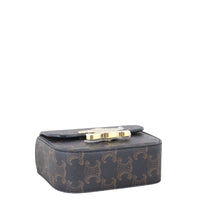Celine Triomphe Claude Mini Bag_IMG_1490.jpeg
