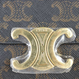 Celine Triomphe Claude Mini Bag_IMG_1491.jpg