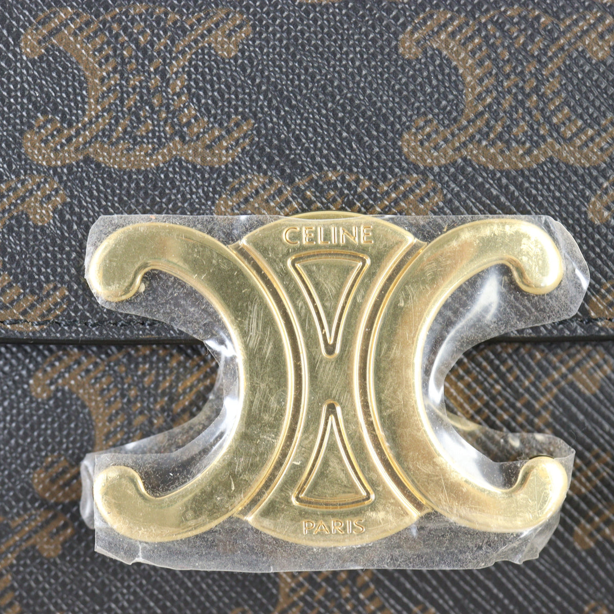 Celine Triomphe Claude Mini Bag_IMG_1491.jpg