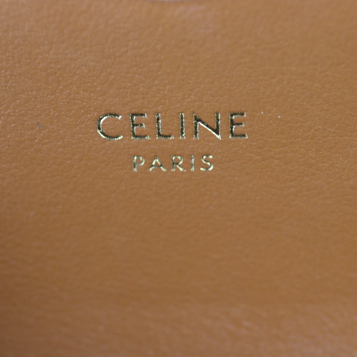 Celine Triomphe Claude Mini Bag_IMG_1492.jpg