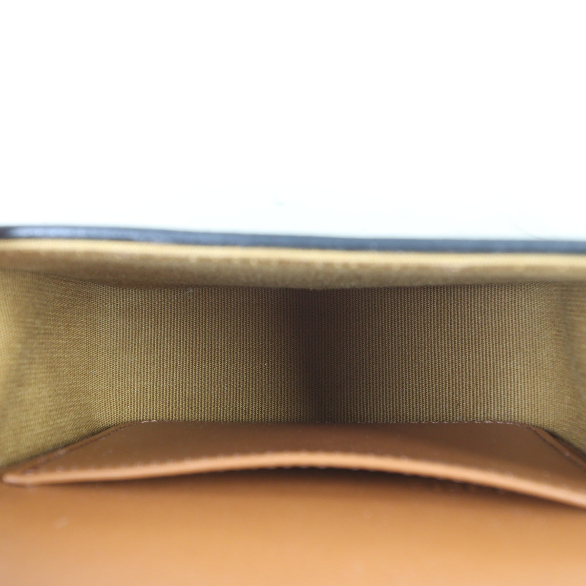 Celine Triomphe Claude Mini Bag_IMG_1494.jpg