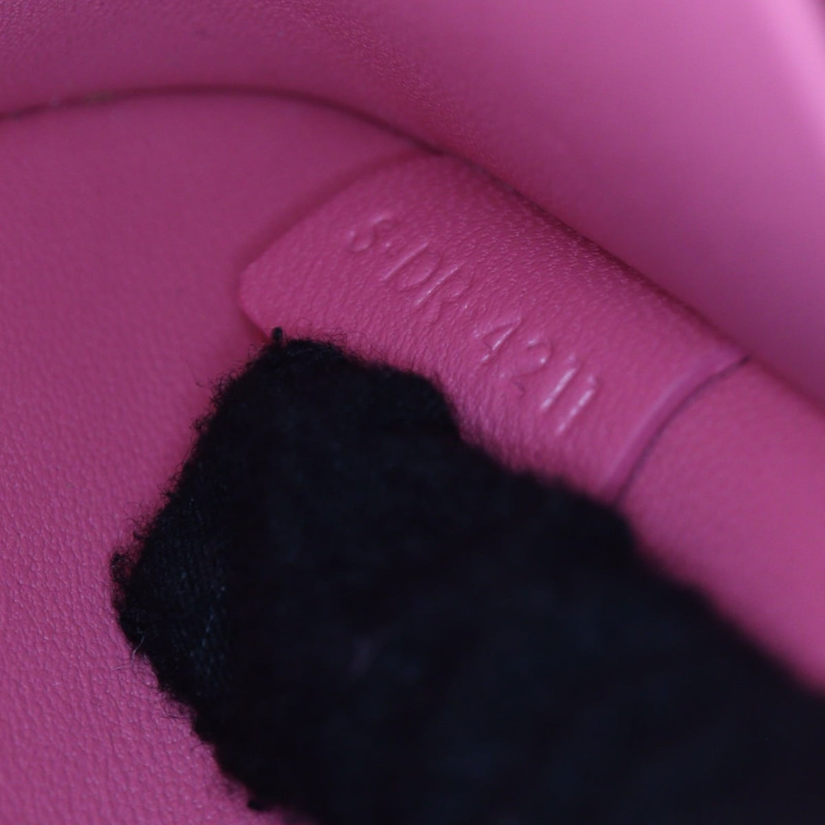 Celine Triomphe Claude Shoulder Bag_IMG_0288.jpg