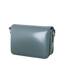 Celine Triomphe Claude Shoulder Bag_IMG_6762.jpeg