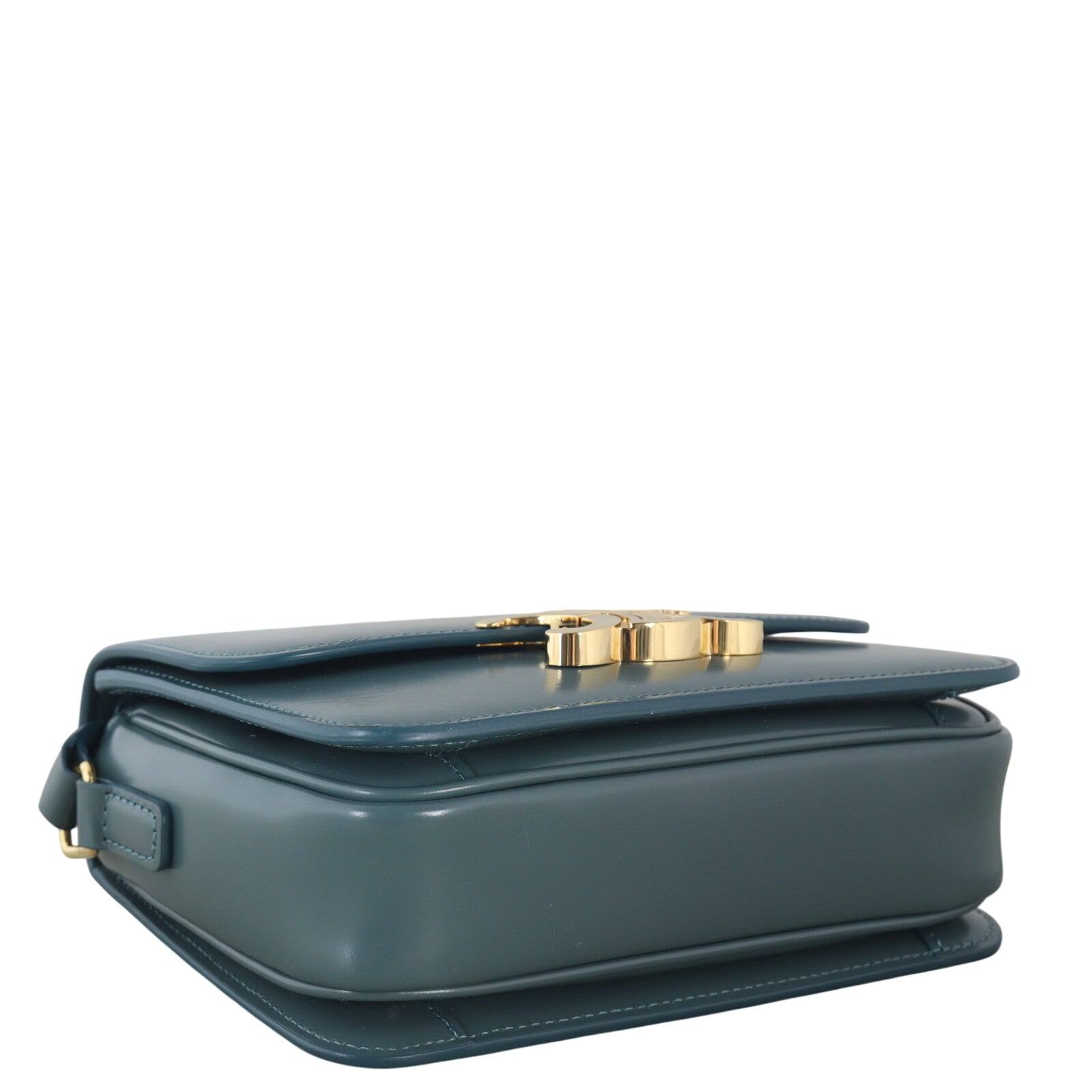 Celine Triomphe Claude Shoulder Bag_IMG_6763.jpeg