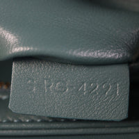 Celine Triomphe Claude Shoulder Bag_IMG_6770.jpg