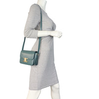Celine Triomphe Claude Shoulder Bag_IMG_6894.jpeg