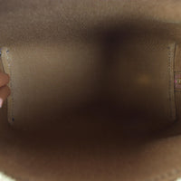 Celine Triomphe Clutch on Chain_IMG_1869.jpg