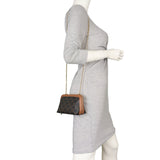 Celine Triomphe Clutch on Chain_IMG_2212.jpeg
