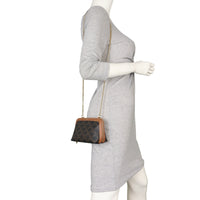 Celine Triomphe Clutch on Chain_IMG_2212.jpeg