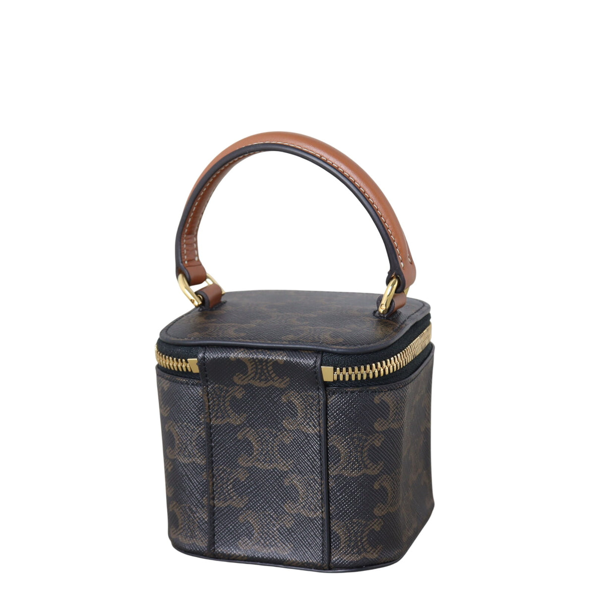 Celine Triomphe Top Handle Vanity Case Mini _IMG_1425.jpeg