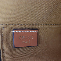 Celine Triomphe Top Handle Vanity Case Mini _IMG_1428.jpg