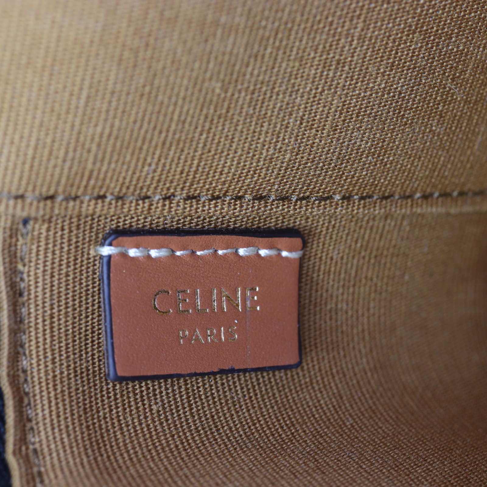 Celine Triomphe Top Handle Vanity Case Mini _IMG_1428.jpg