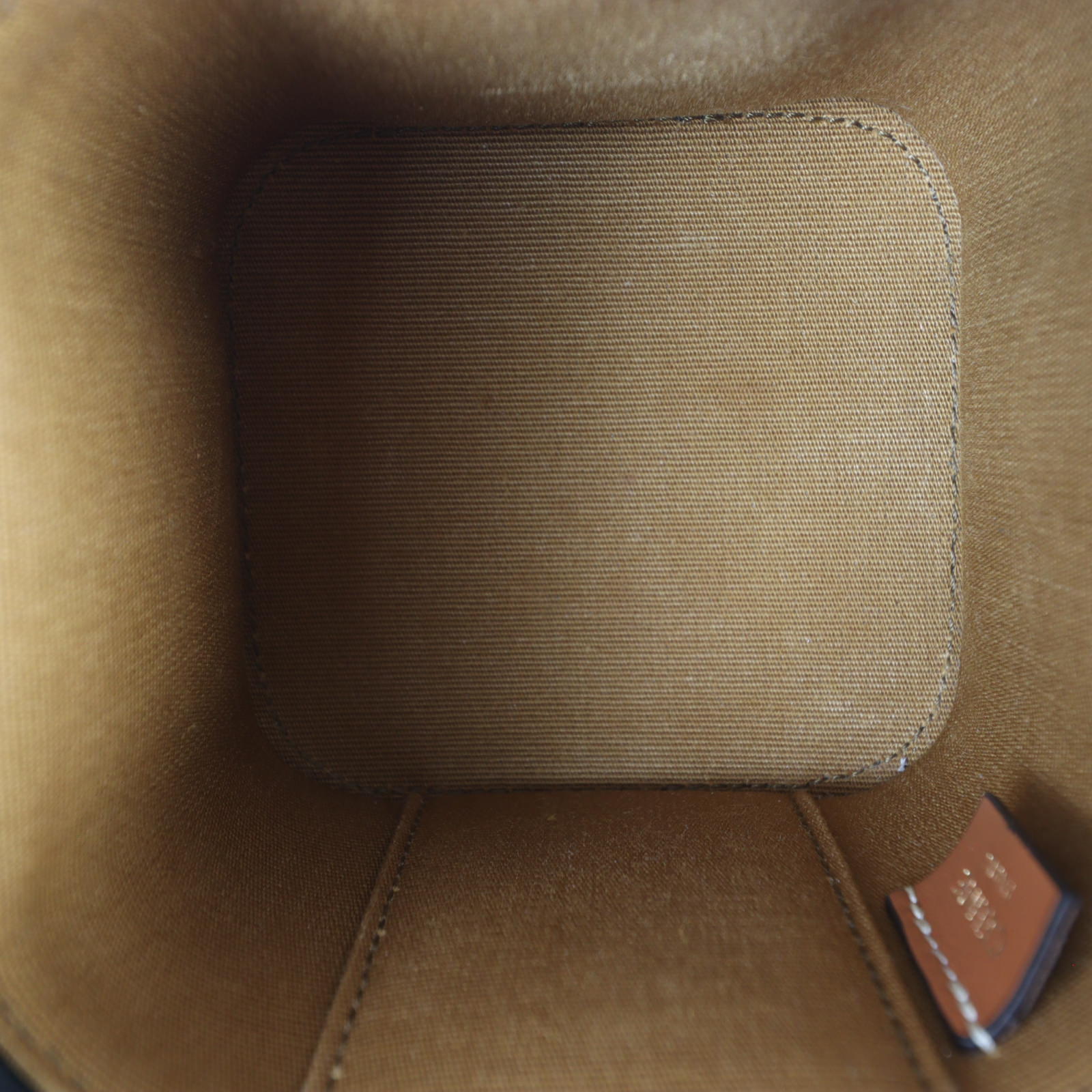 Celine Triomphe Top Handle Vanity Case Mini _IMG_1434.jpg