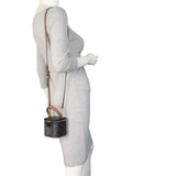 Celine Triomphe Top Handle Vanity Case Mini _IMG_1726.jpeg