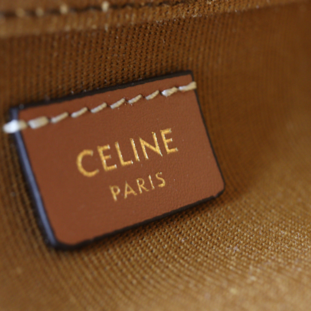 Celine Triomphe Top Handle Vanity Case Mini_IMG_1502.jpg