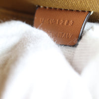 Celine Triomphe Top Handle Vanity Case Mini_IMG_1503.jpg