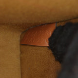 Celine Triomphe Vertical Cabas Tote Mini_IMG_4726.jpg