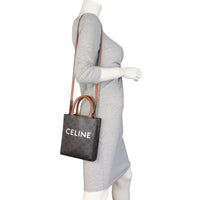 Celine Triomphe Vertical Cabas Tote Mini_IMG_4845.jpeg