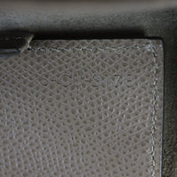 Celine Vertical Cabas Tote Small_IMG_2955.jpg