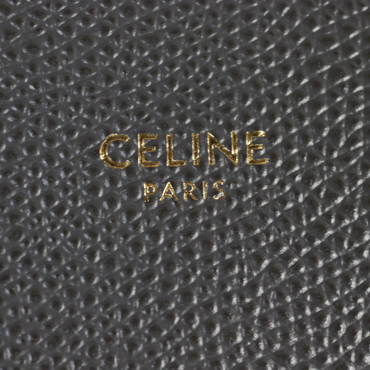 Celine Vertical Cabas Tote Small_IMG_5656.jpg