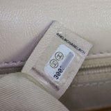 Chanel 19 Flap Bag Medium_IMG_3615.jpg
