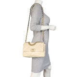 Chanel 19 Flap Bag Medium_IMG_3859.jpeg