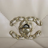 Chanel 19 Flap Bag Medium_IMG_4483.jpg