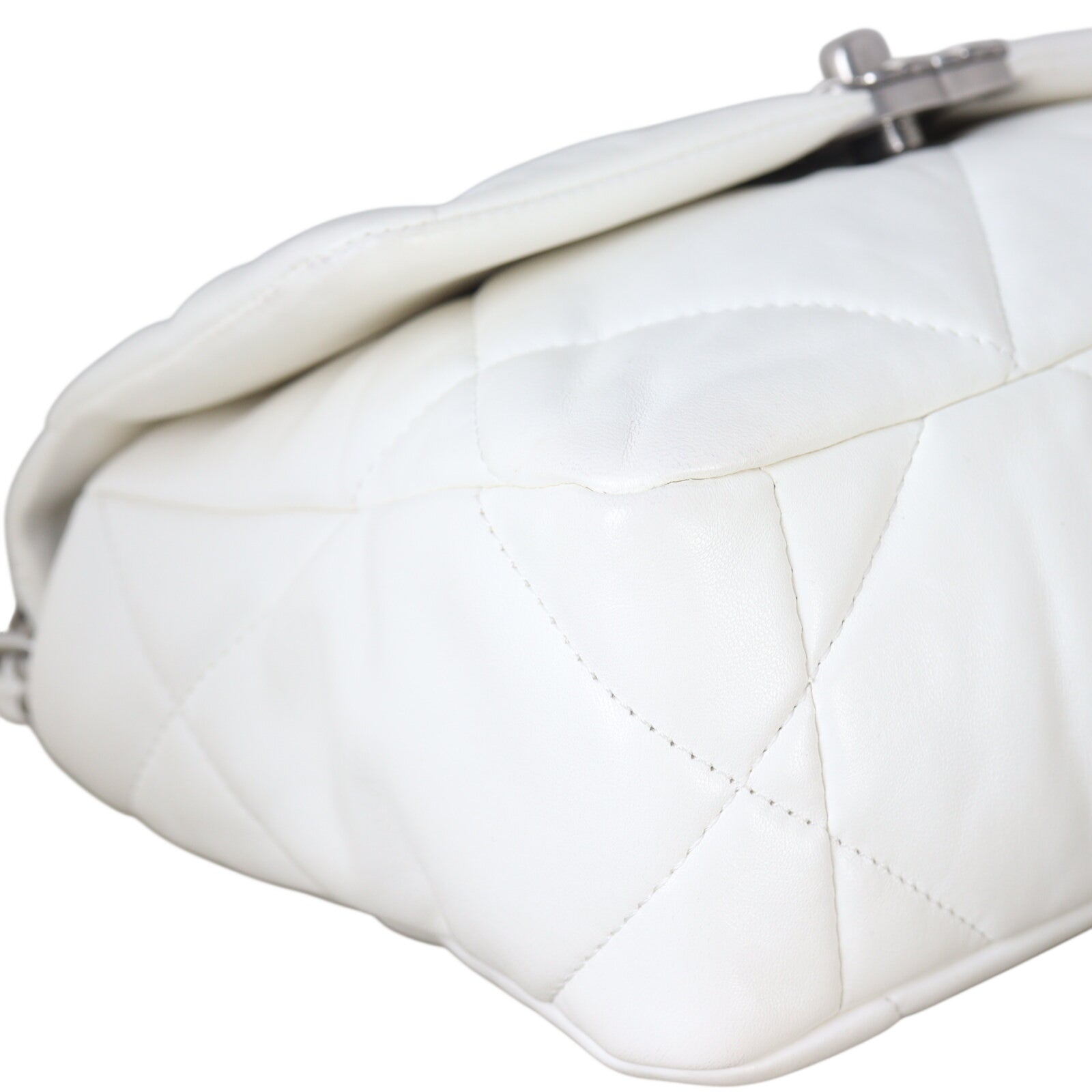 Chanel 19 Flap Bag Medium_IMG_8206.jpeg