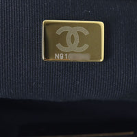 Chanel 19 Flap Bag Medium_IMG_8211.jpg