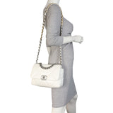 Chanel 19 Flap Bag Medium_IMG_8392.jpeg