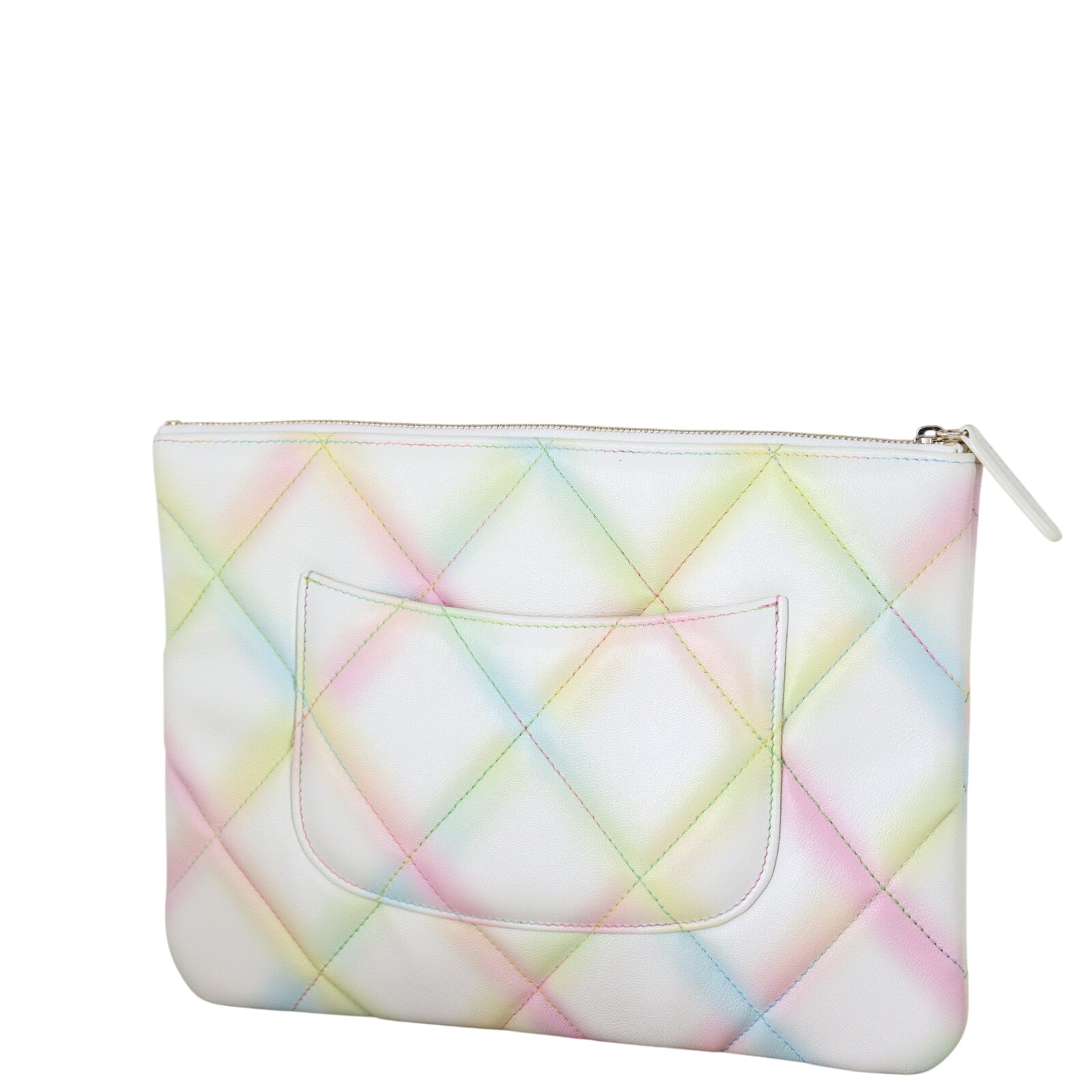 Chanel 19 Large Pouch_IMG_9834.jpeg