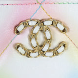 Chanel 19 Large Pouch_IMG_9839.jpg