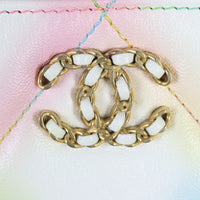 Chanel 19 Large Pouch_IMG_9839.jpg