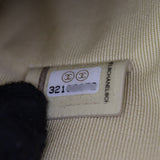 Chanel 19 Large Pouch_IMG_9842.jpg