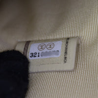 Chanel 19 Large Pouch_IMG_9842.jpg