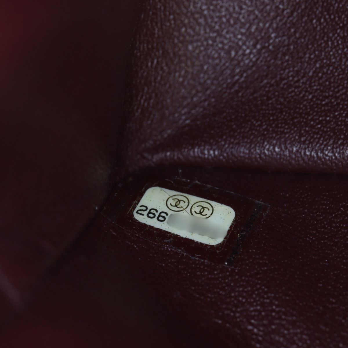 Chanel 2.55 Reissue 225 Double Flap Bag Lucky Charms_IMG_6502.jpg
