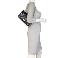 Chanel 2.55 Reissue 225 Double Flap Bag Lucky Charms_IMG_6668.jpeg