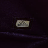 Chanel 2.55 Reissue 227 Double Flap Bag_IMG_6819.jpg