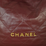 Chanel 22 Hobo Large_IMG_4738.jpg