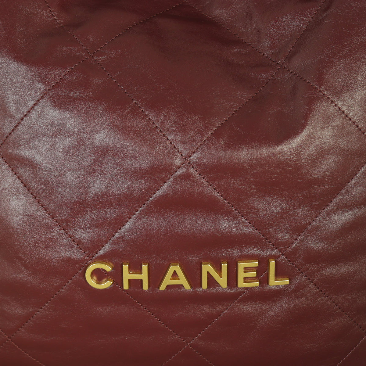 Chanel 22 Hobo Large_IMG_4738.jpg