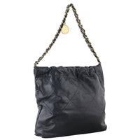 Chanel 22 Hobo Medium_IMG_0431.jpeg