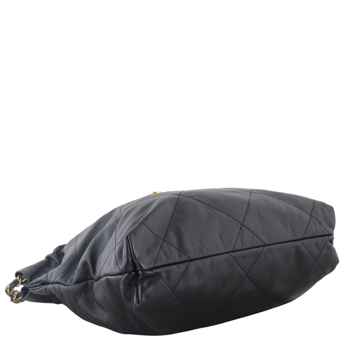 Chanel 22 Hobo Medium_IMG_0432.jpeg